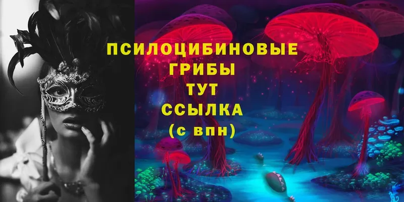 Галлюциногенные грибы Cubensis  МЕГА как зайти  Анапа 